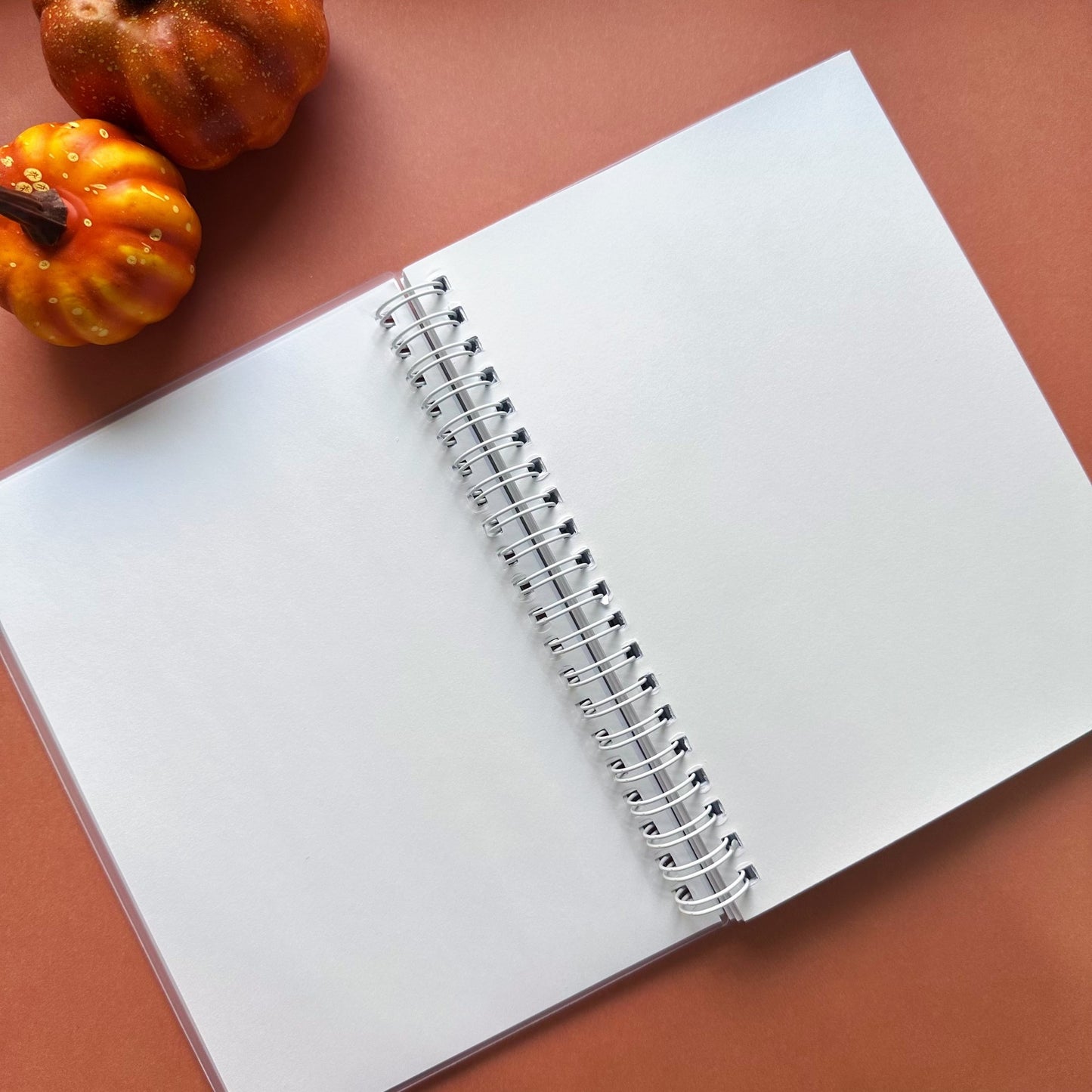 Witch and pumpkins - Reusable sticker book