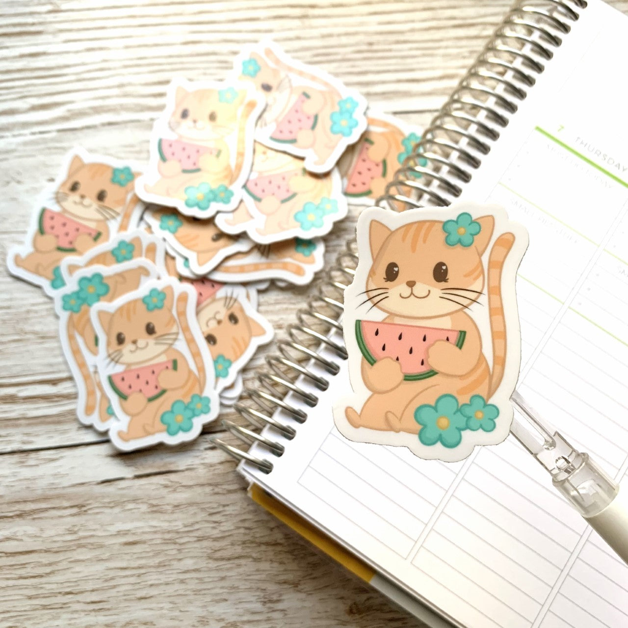 Watermelon cat Vinyl Sticker